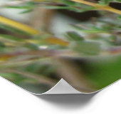 タイム ポスター (角)