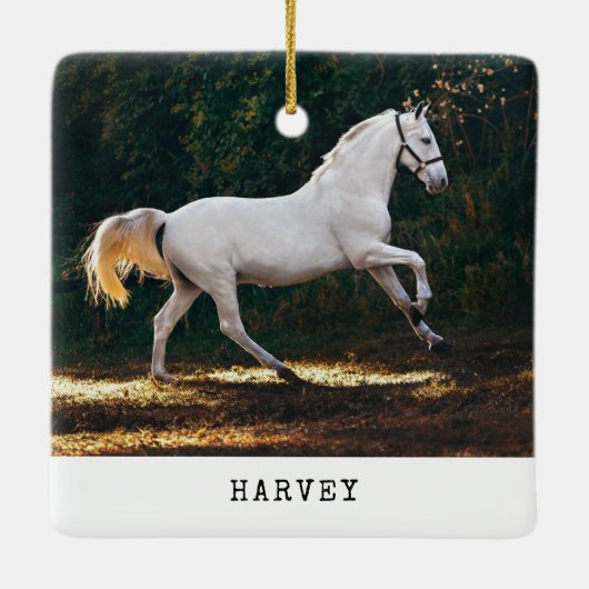 タイモダンプライター馬の写真馬術クリスマス セラミックオーナメント (裏面)