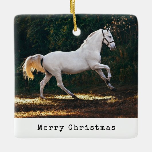 タイモダンプライター馬の写真馬術クリスマス セラミックオーナメント (正面)
