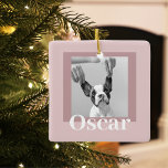 タイモダンペ&ピンク |犬の写真 セラミックオーナメント<br><div class="desc">タイモダンペ&ピンク |犬の写真</div>