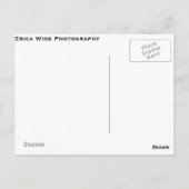 タイヤ ポストカード (裏面)