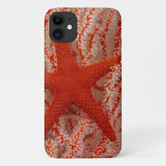 タイランド、ヒトデ Case-Mate iPhoneケース (裏面)