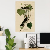 タイランフライ捕手 ポスター (ホームオフィス)