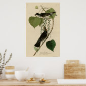 タイランフライ捕手 ポスター (キッチン)