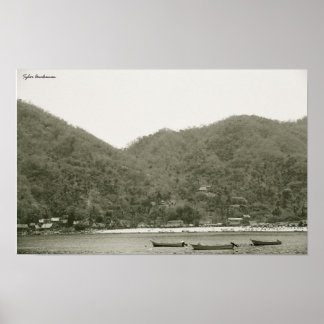 タイラーブキャナンカボ ポスター