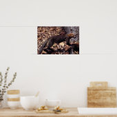 タイラ（エイラバーバタ） ポスター (キッチン)