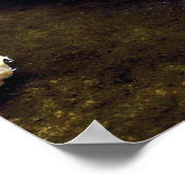 タイラ（エイラバーバタ） ポスター (角)