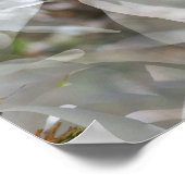 タイリングホワイトマグノリアフローラプリント ポスター (角)