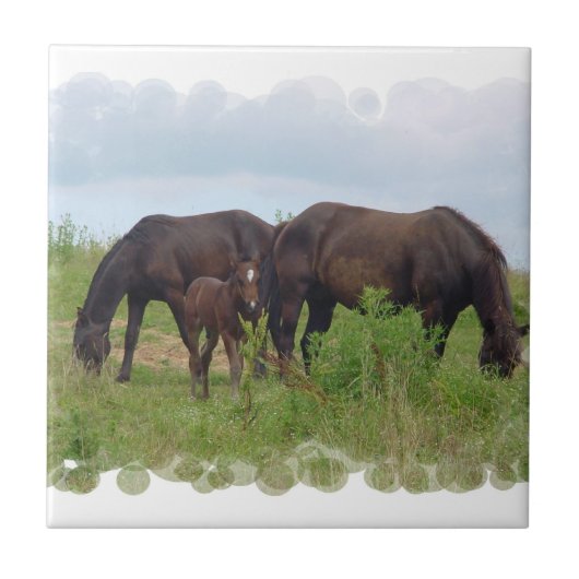 タイルを牧草を食べる馬家族 タイル (正面)