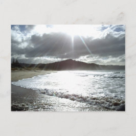 タイルアビーチ コロマンデル ニュージーランド ポストカード