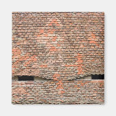 タイル張りの屋根の目のようなドーマー窓 マグネット (正面)