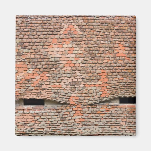 タイル張りの屋根の目のようなドーマー窓 マグネット (正面)