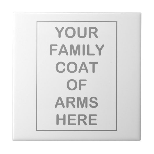 タイル紋章付き外衣 タイル (正面)