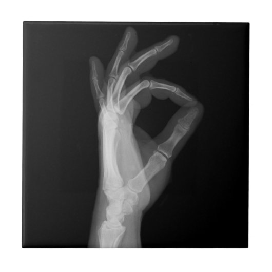 タイル6 タイル (正面)