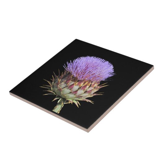 タイル – アザミ (側面)