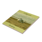 タイル – カリフォルニアの夢… (側面)