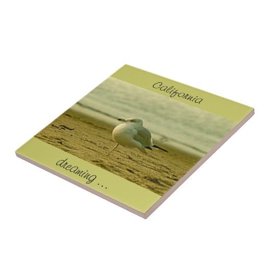 タイル – カリフォルニアの夢… (側面)