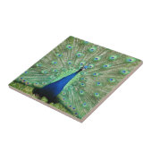 タイル-ピーコ誇りを持ったック タイル (側面)