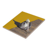 タイル – ペリカンオンボードウォーク (側面)