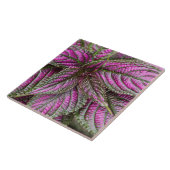 タイル-ペルシャの盾 タイル (側面)