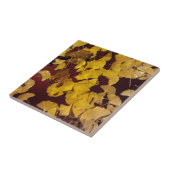 タイル/五徳と秋写真の黄葉色 タイル (側面)