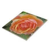 タイル「雨滴付きピーチオレンジ色バラ」 タイル (側面)