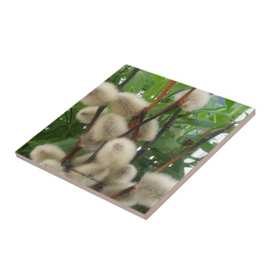 タイル(PussyWillowsInLeaves) RFPMDesigns ©️ 2012 タイル (側面)