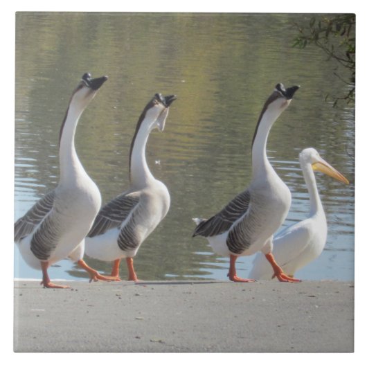 タイル – Strolling Geese (正面)