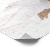 タイレッド。 ポスター (角)