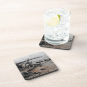 タイレル湖の自然力プラスチックのコースター コースター (右側)