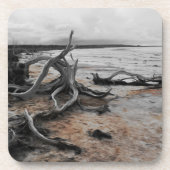 タイレル湖の自然力プラスチックのコースター コースター (正面)