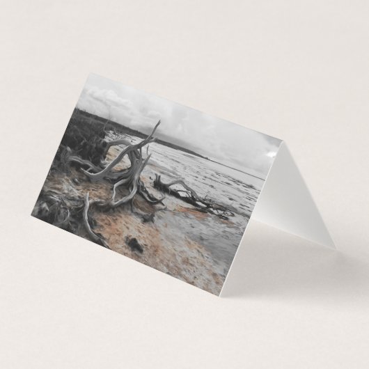 タイレル湖自然力折り畳みカード (正面)