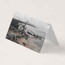 タイレル湖自然力折り畳みカード