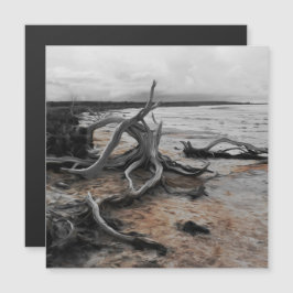 タイレル湖自然力磁気カード