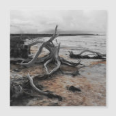 タイレル湖自然力磁気カード (正面)