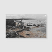 タイレル湖自然力磁気カード (正面)