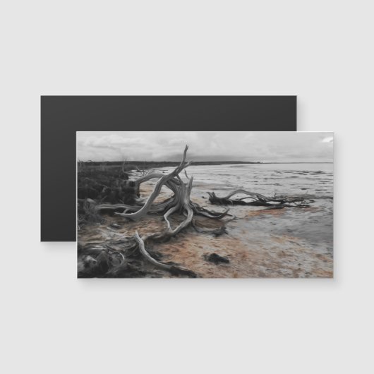 タイレル湖自然力磁気カード (正面/裏面)