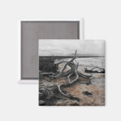 タイレル湖自然力磁石 マグネット (正面/裏面)