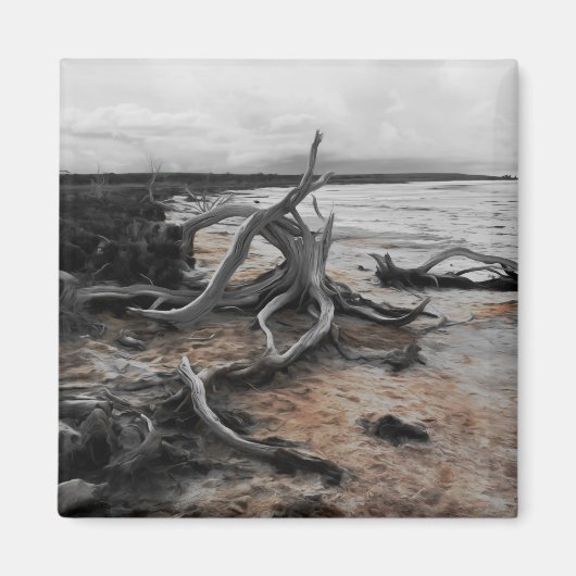 タイレル湖自然力磁石 マグネット (正面)