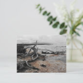 タイレル湖自然軍葉書 ポストカード (スタンド正面)