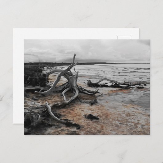 タイレル湖自然軍葉書 ポストカード (正面/裏面)