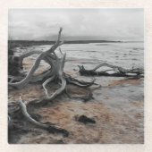 タイレル湖自然軍 ガラスコースター (正面)