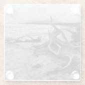 タイレル湖自然軍 ガラスコースター (裏面)