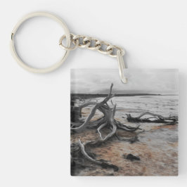 タイレル湖自然軍 キーホルダー