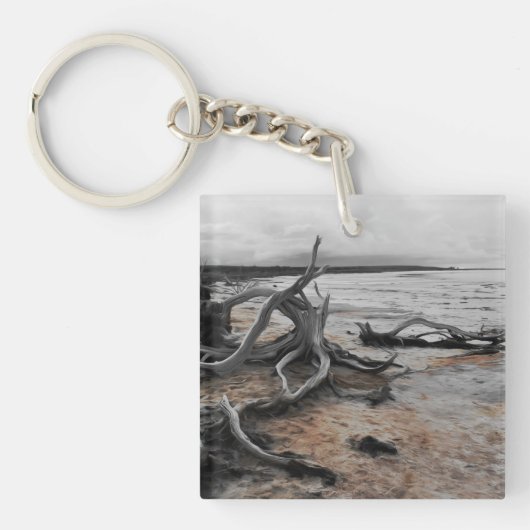 タイレル湖自然軍 キーホルダー (正面)