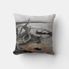 タイレル湖自然軍 クッション