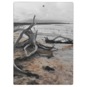 タイレル湖自然軍 クリップボード (裏面)