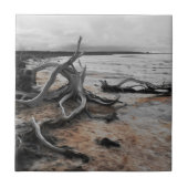 タイレル湖自然軍 タイル (正面)