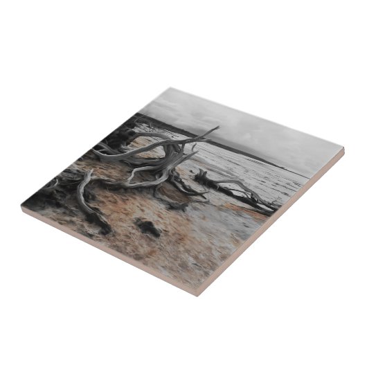 タイレル湖自然軍 タイル (側面)