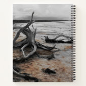 タイレル湖自然軍 ノートブック (裏面)